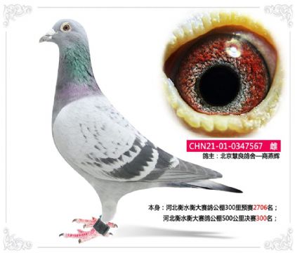 �ӱ���ˮ������빫��500�������300��   ��	