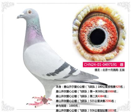 ��ɽ�������Ĺ����Ծ�ӣ�506�����վ��1833��   ��