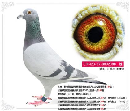 ������԰������������ֲ�Ժ��500������Ĺ�133��   ��