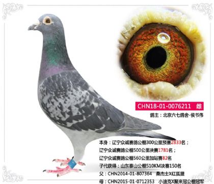 �������߸���-����ΰ--�����ڳϹ���560�����վ��82��