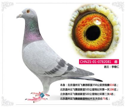 ����ͨ���Ʒ���������500�����رȻ��ڶ���4��   ��	