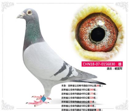 ����ʡ�������и��700���������18��   ��	