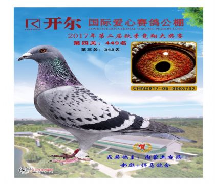 �����������밮�Ĺ���500�������449��   ��	