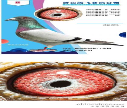 ��ɽ�ڷ����빫��550�����վ��8��  ��	