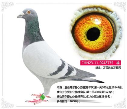 ��ɽ�������Ĺ���(�����)514�������2846��  ��	