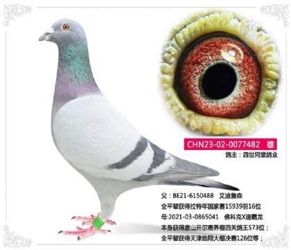 ����ͬ�ø�ҵ---��ƿ�X�ٰ��� 482   ��