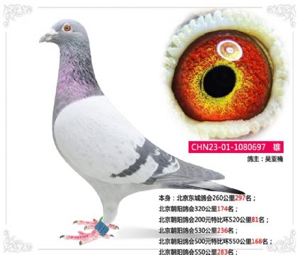 �����������200Ԫ�رȻ�520����81��