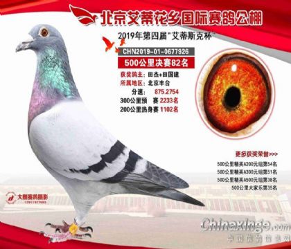 �������ٻ���������빫��500�������82��   ��	