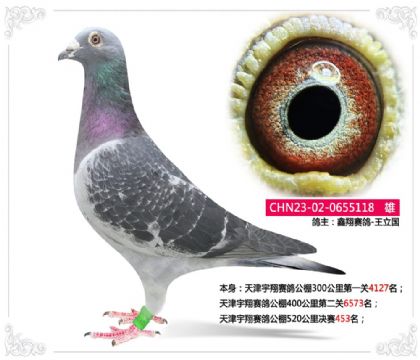 ����������빫��520�������453��   ��	