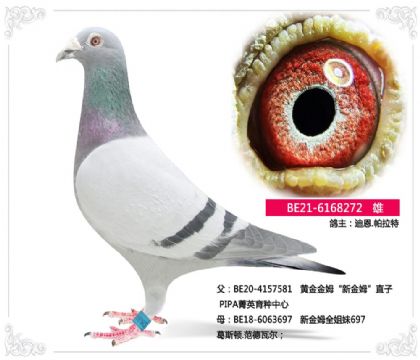 �϶�.������--�½�ķֱ��272   ��	