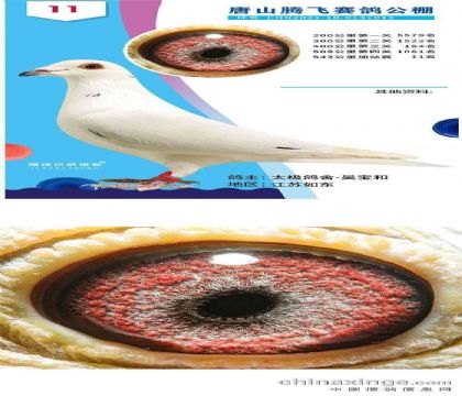 ��ɽ�ڷ����빫��550�����վ��11��  ��	