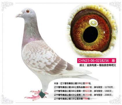 ����Ҽ�����빫��530�������7709��   ��	