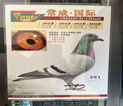 ����Ƭ��뷢��