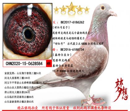 ���ǲ��ˡ��ú��ֱ�ӡ�X�����ض�ֱŮ����	