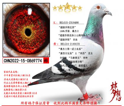 ��������ĸ����˹ɣ��ʿ�����ִ�