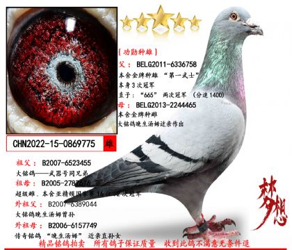 (��ѫ���ۣ�ɣ��ʿ��һ��ʿXɣ��ʿ�����ִ�