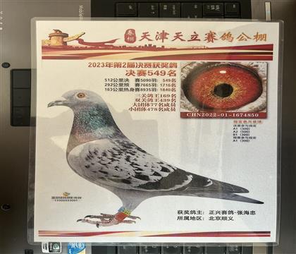 ����Ƭ��뷢��