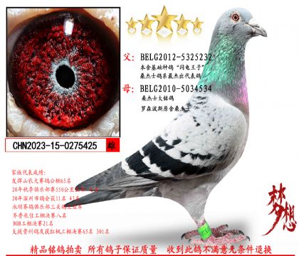 ɣ��ʿ��������Xɣ��ʿ������