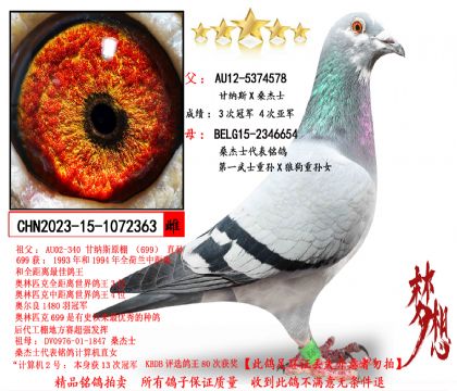 ����˹Xɣ��ʿ����һ��ʿ����X�ǹ�������Ů