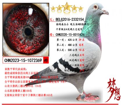 ����ɣ��ʿ ������ķX�ǹ���X��˫�عھ������Ǿ���