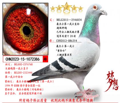 ���ص��Ƽ���ɣ��ʿ��һ��ʿֱ��X��һ��ʿ����Ů