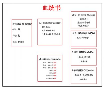 2023-15-1072369Ѫ_����