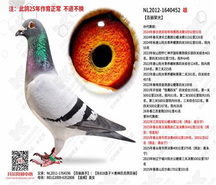 ���͸�NL2012-1640452