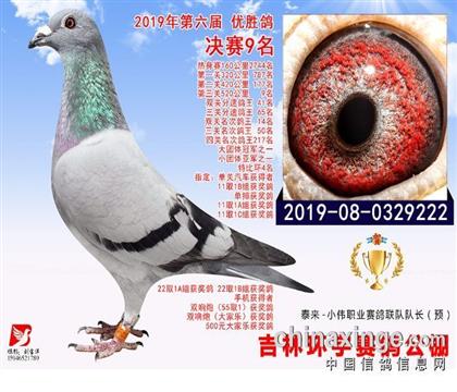 �Ƹ�ĸ��һ�������9��