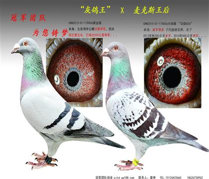 �游���＾����ĸ�������˹