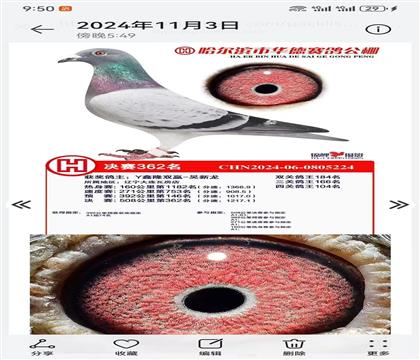 ֶ�ӣ��Ĺظ���104����