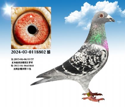 ����ֱ��