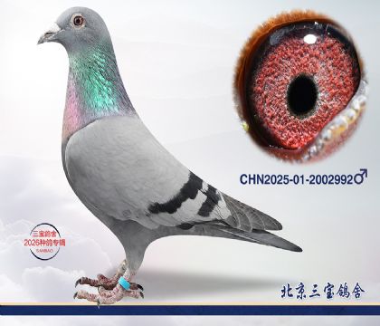 1.����x����Ѫϵ.2002992