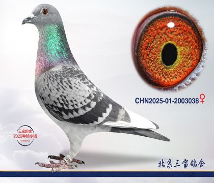 3.����x��ʱ��xӢ��˹.2003038