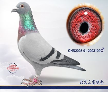 6.����x����x����.2003109