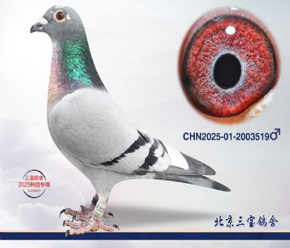 14.����396��Ѫ.2003519