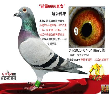 ĸ��һ����6666