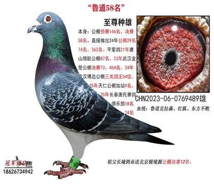 ƽ����֮һ�������58��