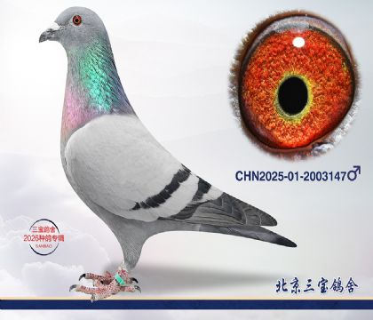 1.����x����Ѫϵ.2003147