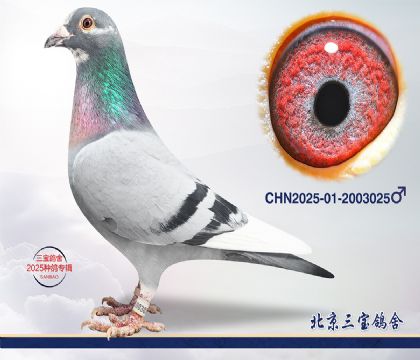 3.����x����Ѫϵc.2003025