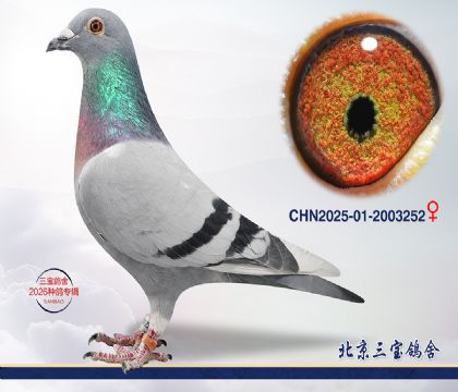 6.�ɸ��Ѫ.2003252