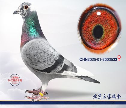 10.���ֿ�˹��Ѫ.2003533