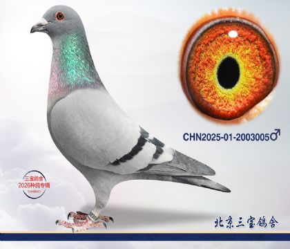 14.���Խ�ĸ615���.2003005