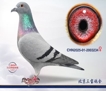 13.Ӣ��˹��Ѫ.2003234