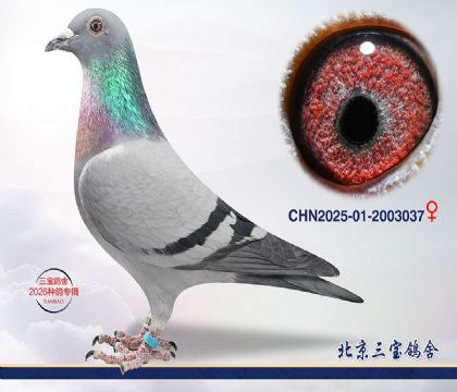 15.����396��Ѫ.2003037