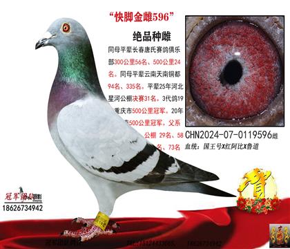 ĸ������ͭ��94ƽ����