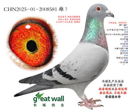 4.���⹫�����70���Ӵ�.2008581