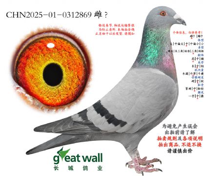 2.��ʱ��x�¿�����.0312869