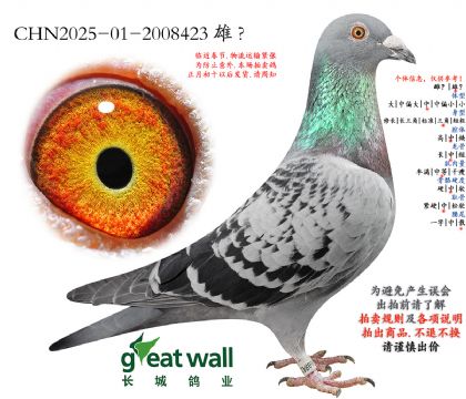 6.����xͼ��˹.2008423