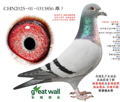 5.�����Ĺظ���58�Ӵ�.0313856