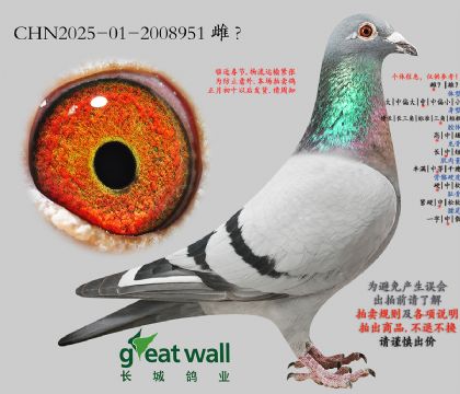 8.����x¡����.2008951